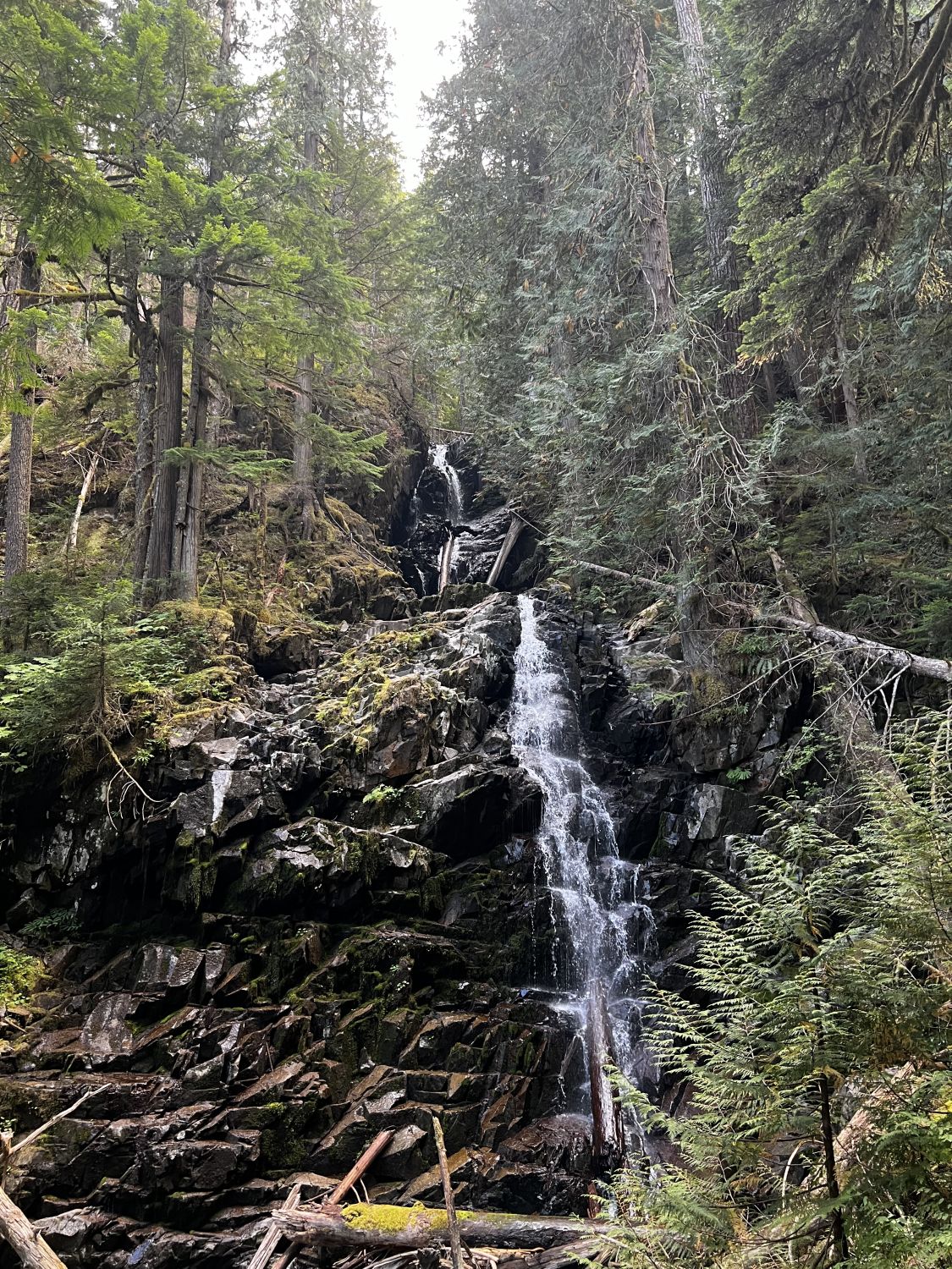 Mount Rainier NP 